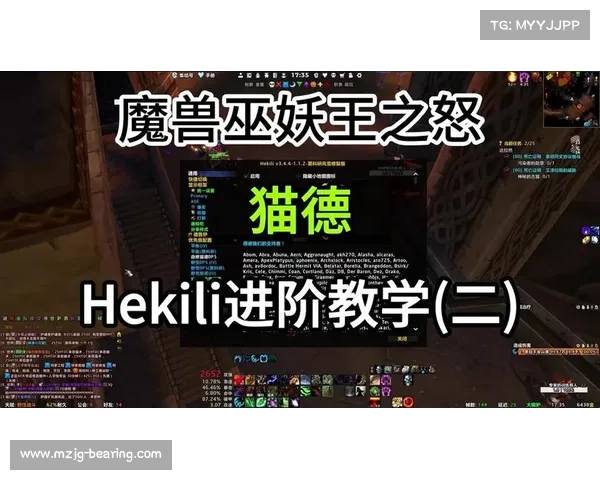 魔兽世界怀旧服:宠物伤害防御攻略 魔兽世界怀旧服:宠物伤害防御攻略