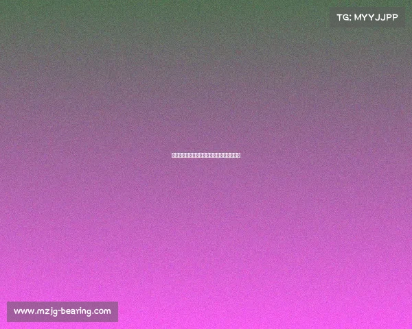 全国电子竞技大赛赛车—全国电子竞技锦标赛